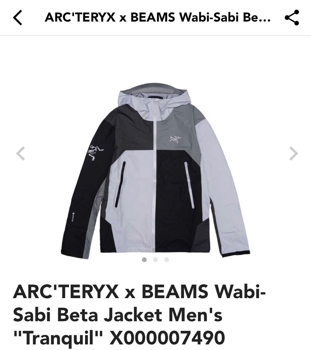 ARC'TERYX x BEAMS Wabi-Sabi Beta Jacket Men's Tranquil XLサイズ