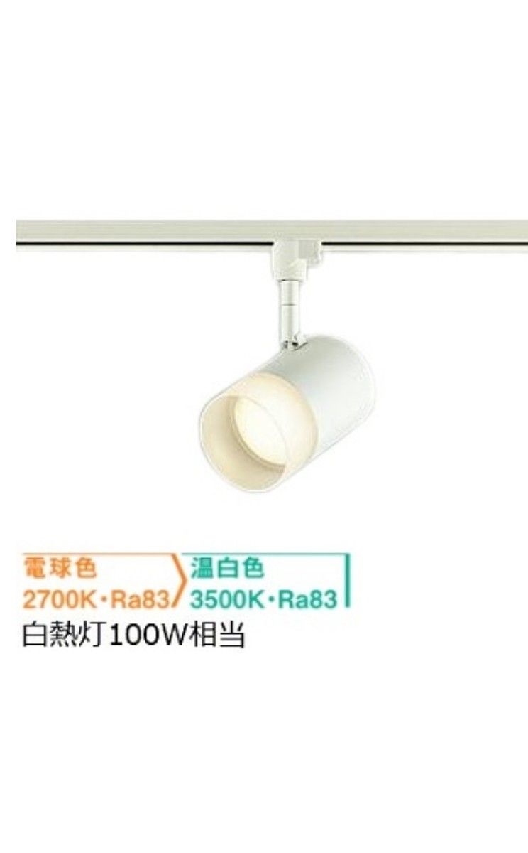 DSL5524FWG 大光電機 スポットライト 白熱灯100W相当 電球色 温白色 調光光色切替可能 レール取付専用 