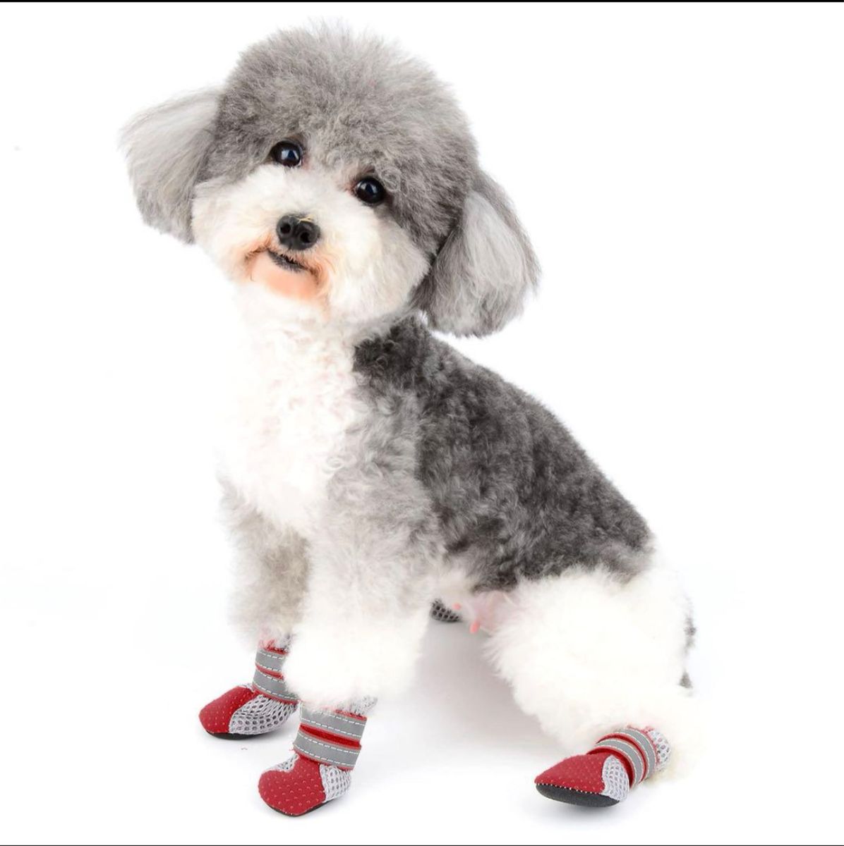 犬靴 犬用メッシュシューズ ドッグブーツ ドッグくつ 小型犬 反射テープ付き 滑り止め 長靴 肉球保護 4個入り レッド