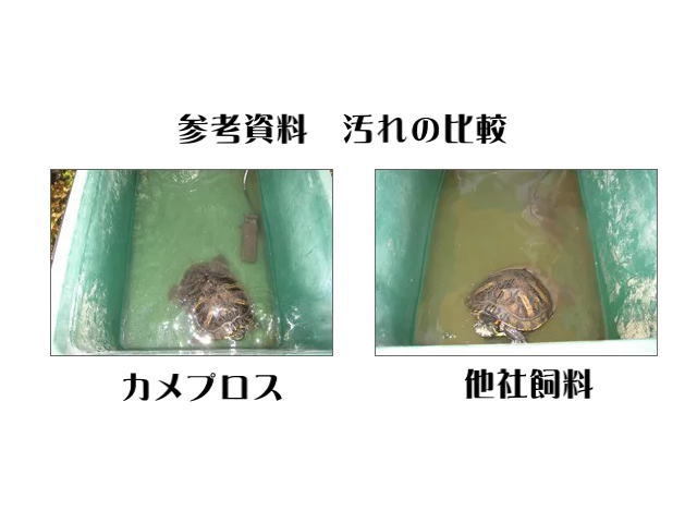 キョーリン カメプロス 550g 水棲カメ専用飼料　管理60_画像2