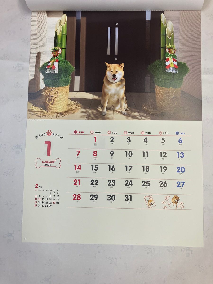 2024年壁掛けカレンダー 柴犬まるとおさんぽカレンダー NK-35