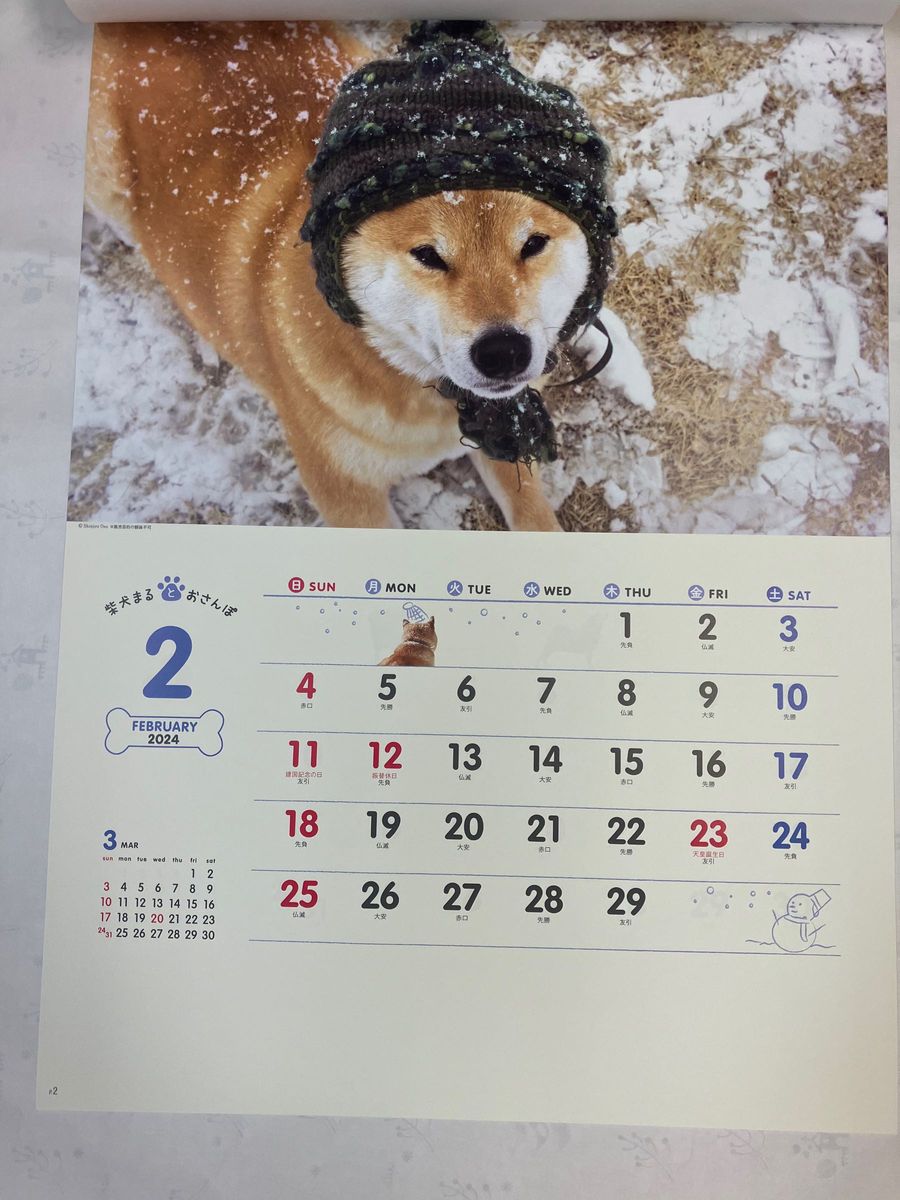 2024年壁掛けカレンダー 柴犬まるとおさんぽカレンダー NK-35