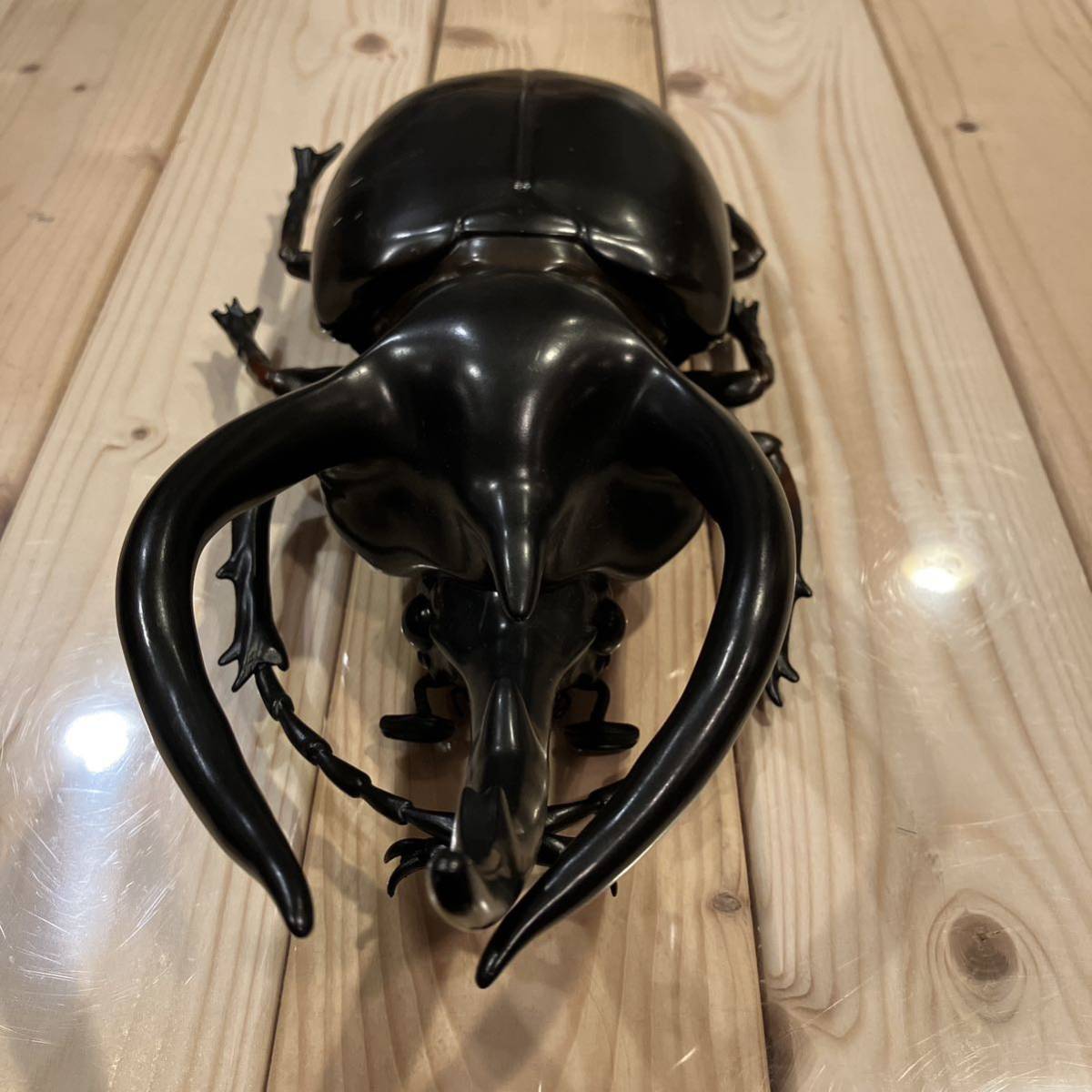MEGAメガ フィギュア コーカサスオオカブト カブトムシ 昆虫 MEGAメガ フィギュア コーカサスオオカブト カブトムシ 昆虫