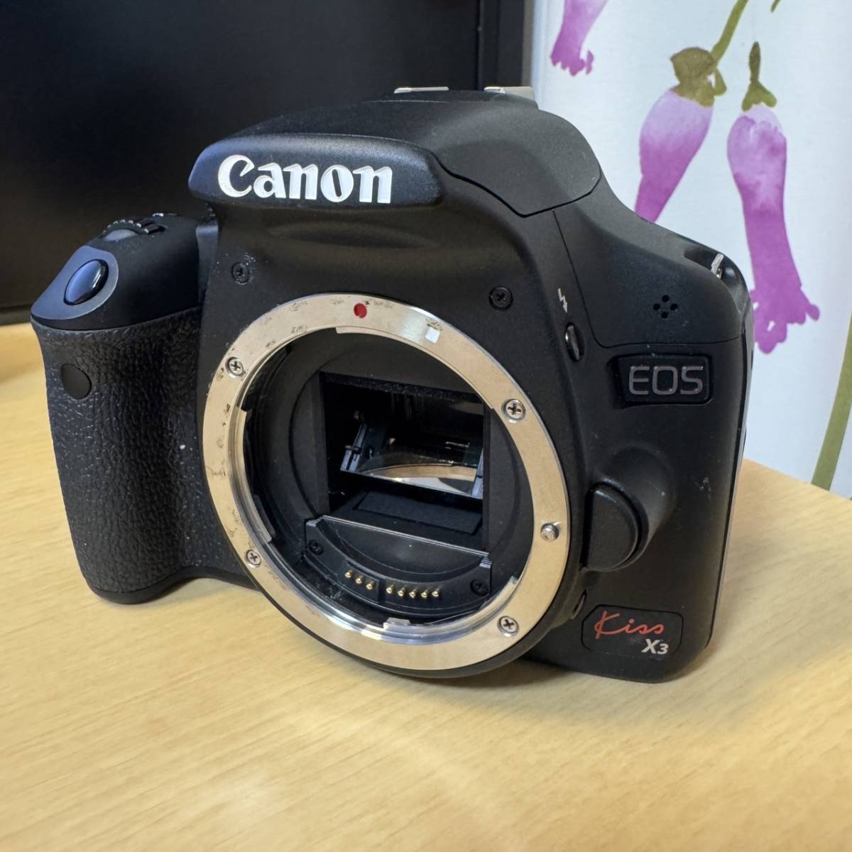 Canon EOS Kiss X3 #435_画像2