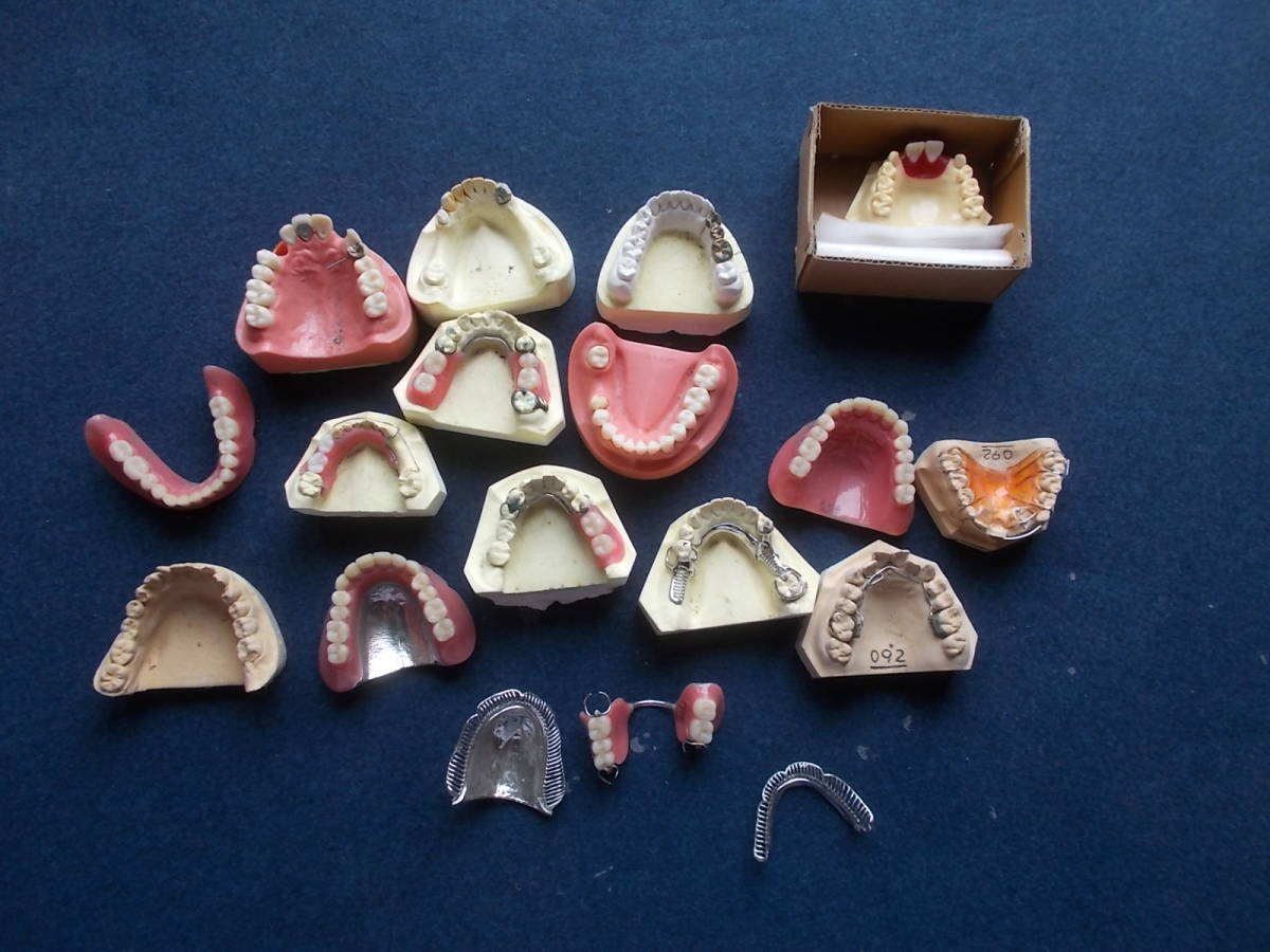 昭和レトロ　総義歯　見本　義歯　入れ歯　サンプル　模型　フルデンチャー　歯科医　技巧　古道具　古物_画像1