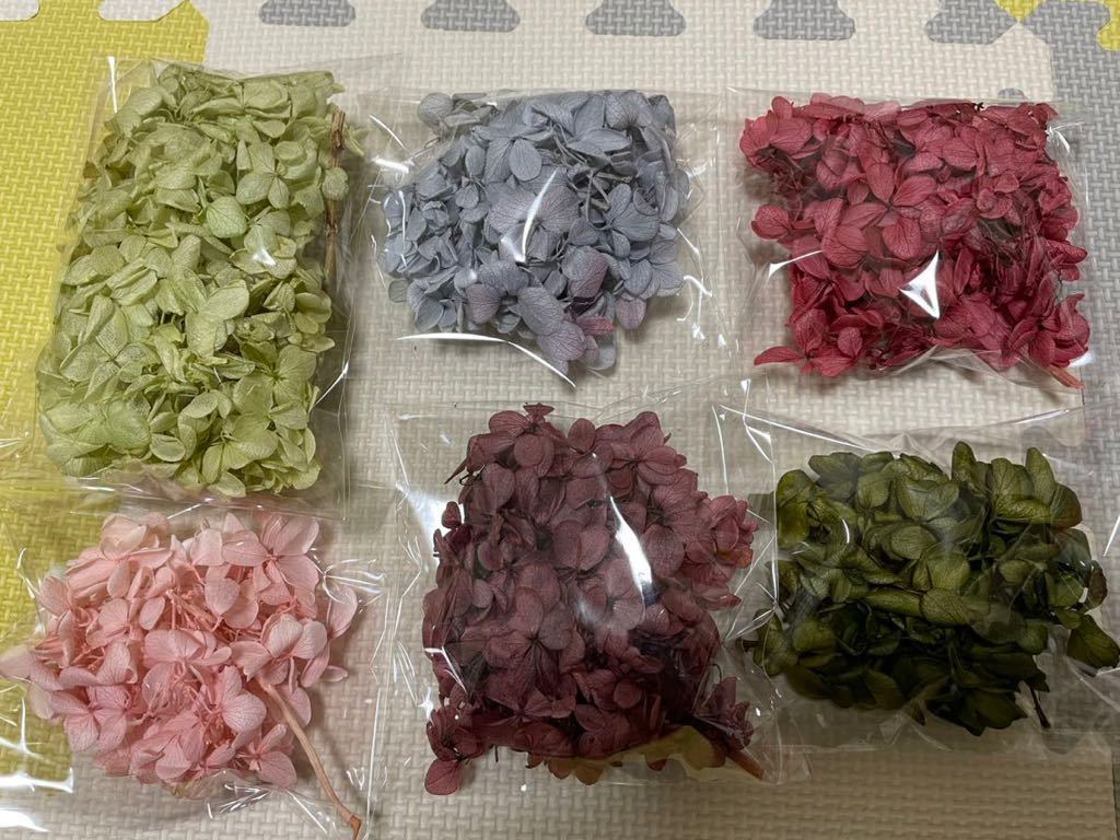  preserved flower material for flower arrangement .... purple . flower yellow green light purple bordeaux wine red green pink sombreness color total approximately 20g herbarium 