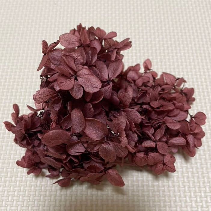  preserved flower material for flower arrangement .... purple . flower yellow green light purple bordeaux wine red green pink sombreness color total approximately 20g herbarium 