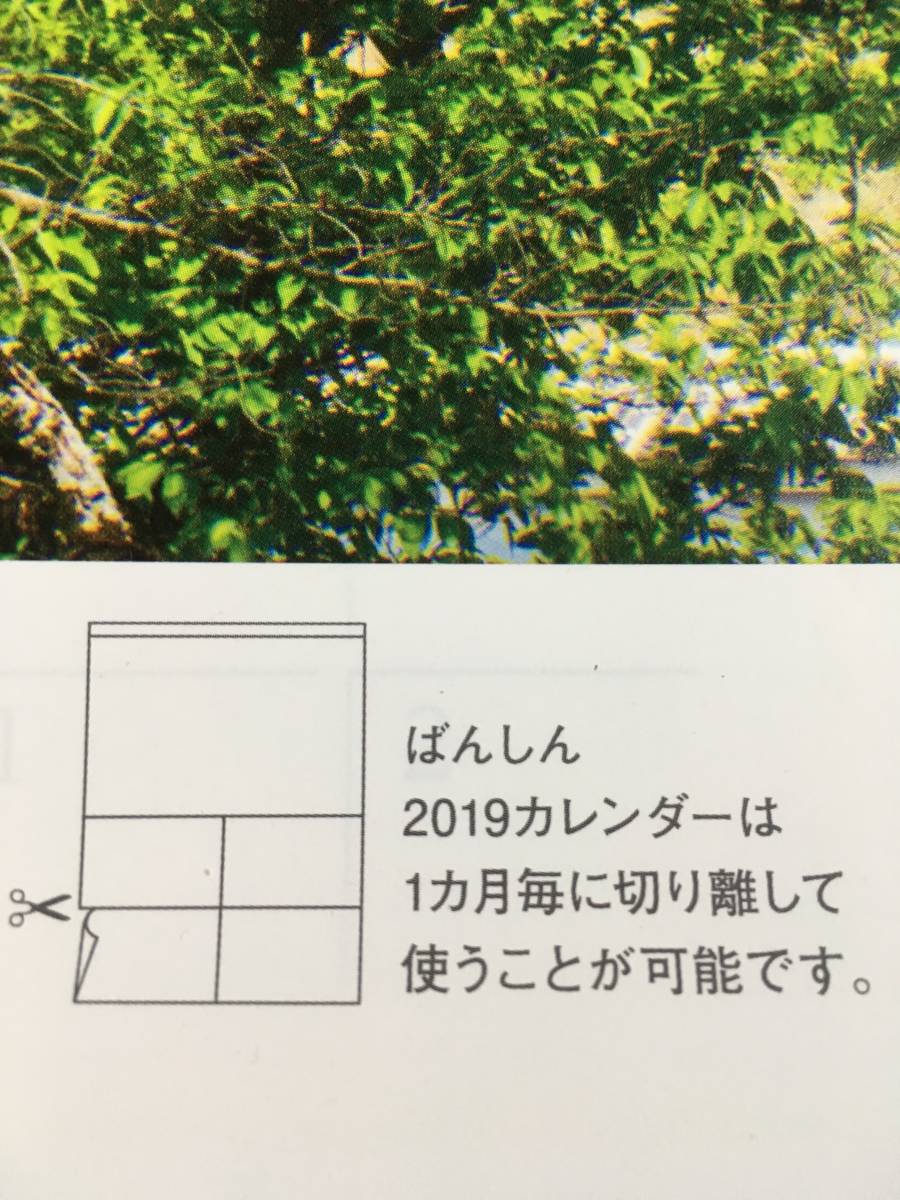 2019年 カレンダー*世界遺産 国宝 姫路城*掛け_画像5