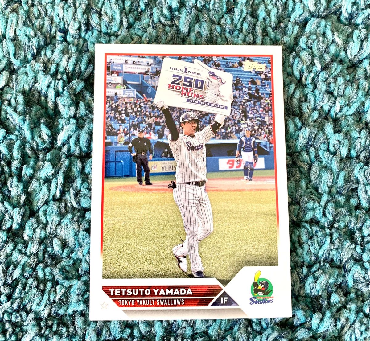 ヤクルトスワローズ　山田哲人選手TOPPSカード250号ホームラン記念