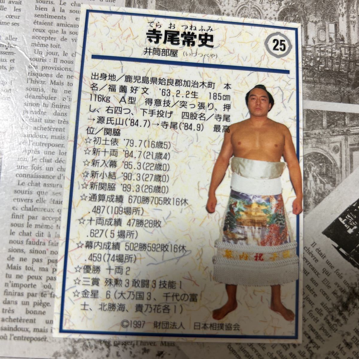 1997BBM 25 寺尾　常史　相撲カード_画像2