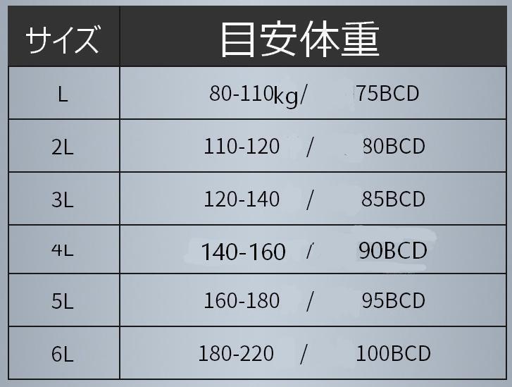 5L ブルー　大きいサイズ　ノンワイヤー　ブラジャー　スポーツ　ナイトブラ_画像5