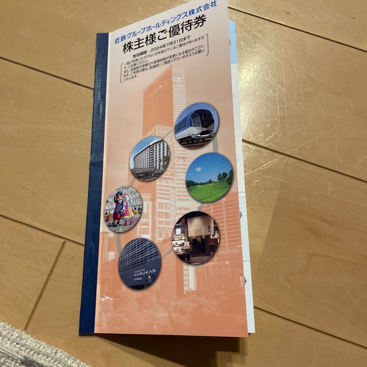 京阪電車　株主優待　乗車券4 ひらかたパーク入場券&パルケエスパーニャ20%優待券など_画像6