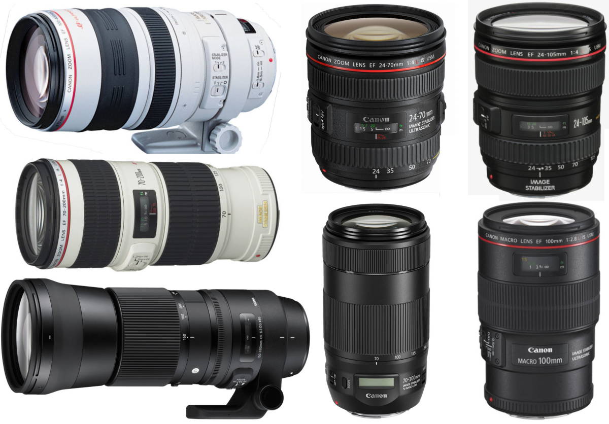 【2日間から~レンタル】Canon EOS R6 フルサイズ ミラーレス カメラ 選べるレンズ無料or有料(EFアダプタ＆SDXC64GB＆予備B付)【管理CB07】 の画像3
