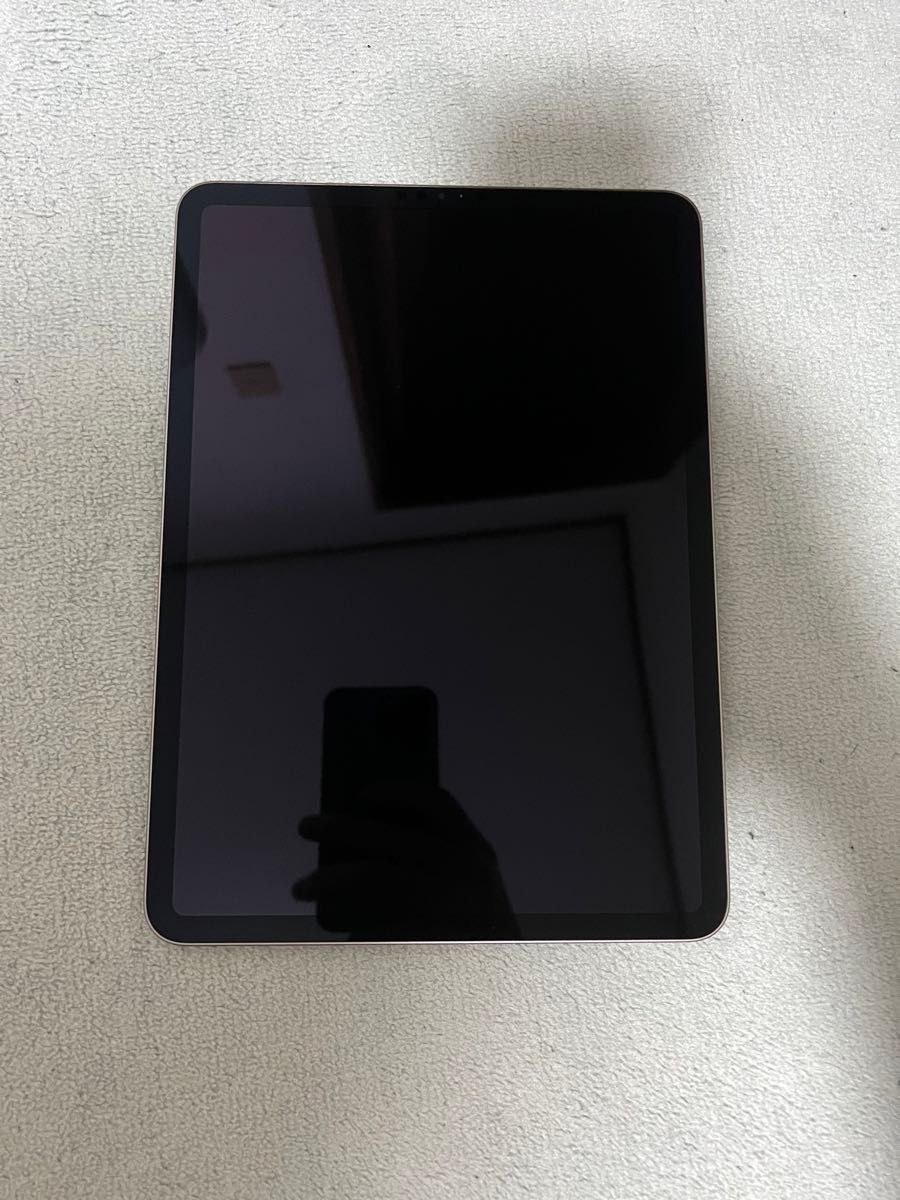 iPadPro 11インチ 第3世代256GB Wi-Fiモデル スペースグレイ
