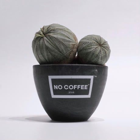 【初期コラボ 白黒セット】NO COFFEE BOTANIZE .blnk plastic pot ノーコーヒー ボタナイズ プラスティック ポット Invisible ink. 鉢 の画像6