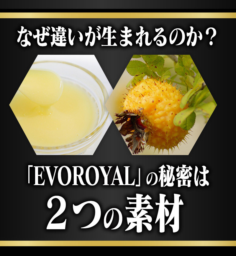 SOD含有 低分子 ペプチド化 高品質ローヤルゼリー EVOROYAL 60粒 4袋セット計240粒 約4ヵ月 2粒中 デセン酸2.5mg含有　_画像9