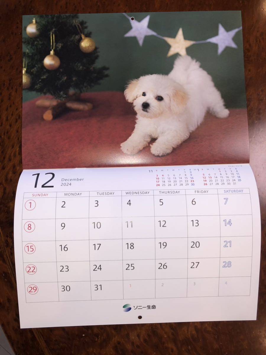 非売品◆ソニー生命◆ゆかいな子犬たち◆2024年カレンダー/令和6年◆清水朝子◆犬◆写真◆壁掛けカレンダー◆ソニーグループ_画像1