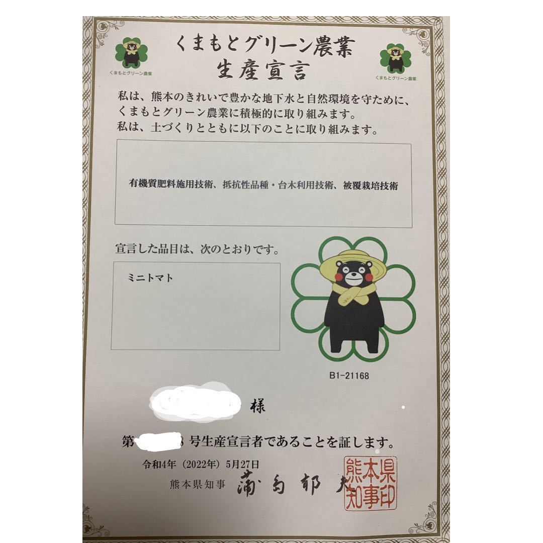 ミニトマト　999円 フードロス　野菜　熊本産　規格外　訳あり 安い　ミネラル_画像3