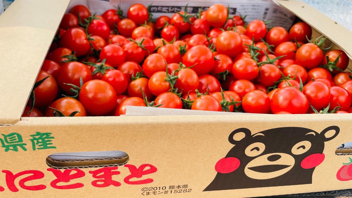  мини помидоры 6 kilo овощи Kumamoto прямая поставка от производителя . данный гарнир помидор минерал Rico булавка сельское хозяйство дом 