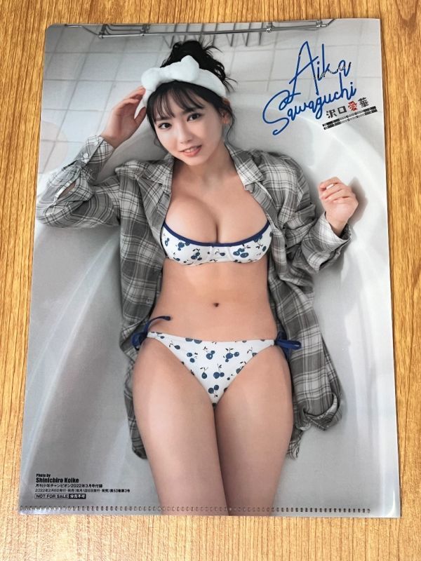 沢口愛華 両面クリアファイル 未使用品 雑誌付録 月刊少年チャンピオン2022年3月号の画像2