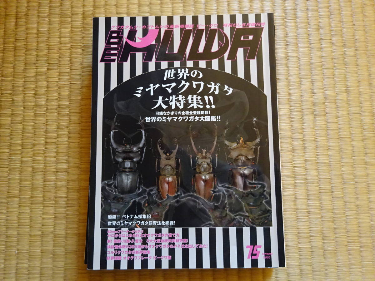 BE KUWA　ビー・クワ　75　世界のミヤマクワガタ大特集！！　むし社　クワガタ_画像1