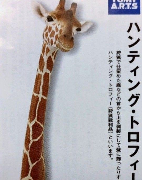 立体カプセル百科事典ハンティングトロフィーⅡ アミメキリン 立体カプセル百科事典ハンティングトロフィーⅡ アミメキリン