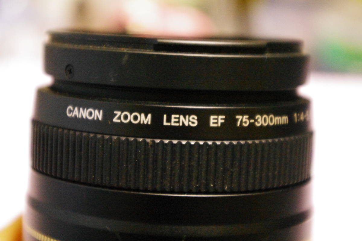 キヤノン Canon EF 75-300mm F4-5.6 II USM 望遠レンズ　■r2_画像3