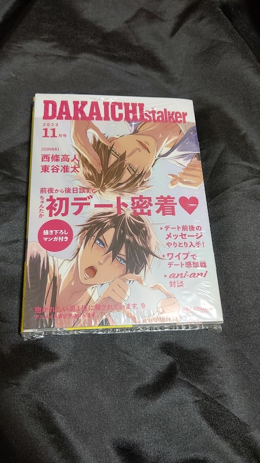 新品未開封 抱かれたい男1位に脅されています。 9 巻 小冊子付き 限定版 描き下ろしマンガ入りちゅんたか初デート密着本付き 桜日梯子_画像2