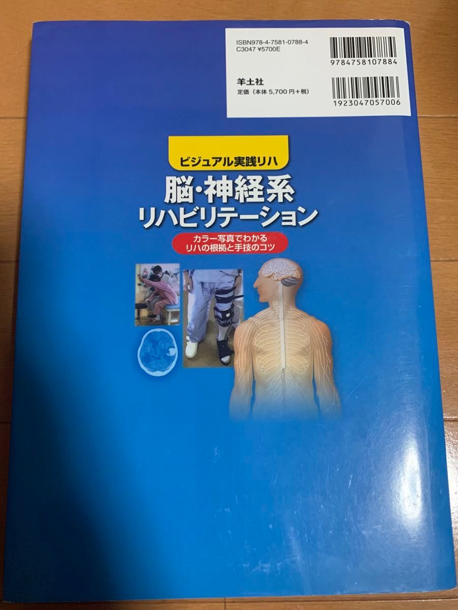 ビジュアル実践リハ　脳・神経系リハビリテーション