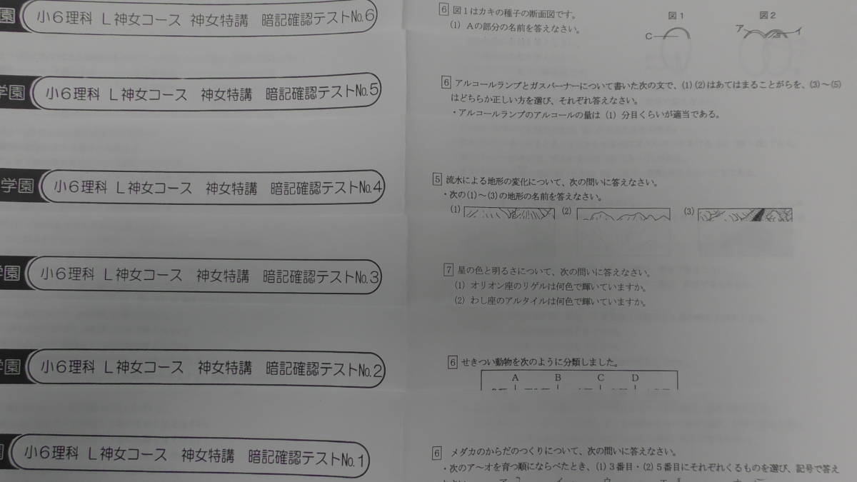 浜学園 (2019年) (小6) L神女コース 理科 暗記確認テスト　6年生