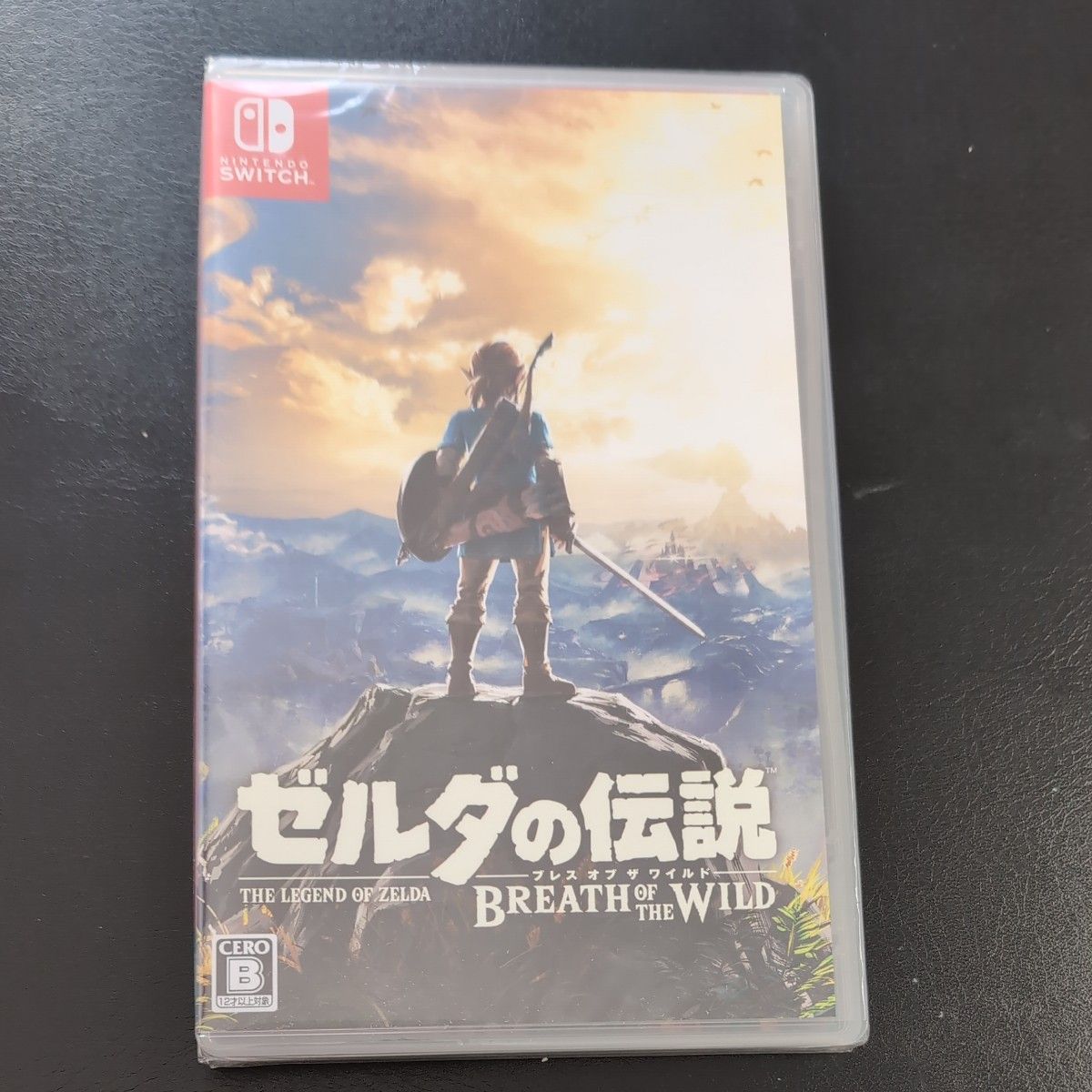 ゼルダの伝説  ブレスオブザ ワイルド Switch