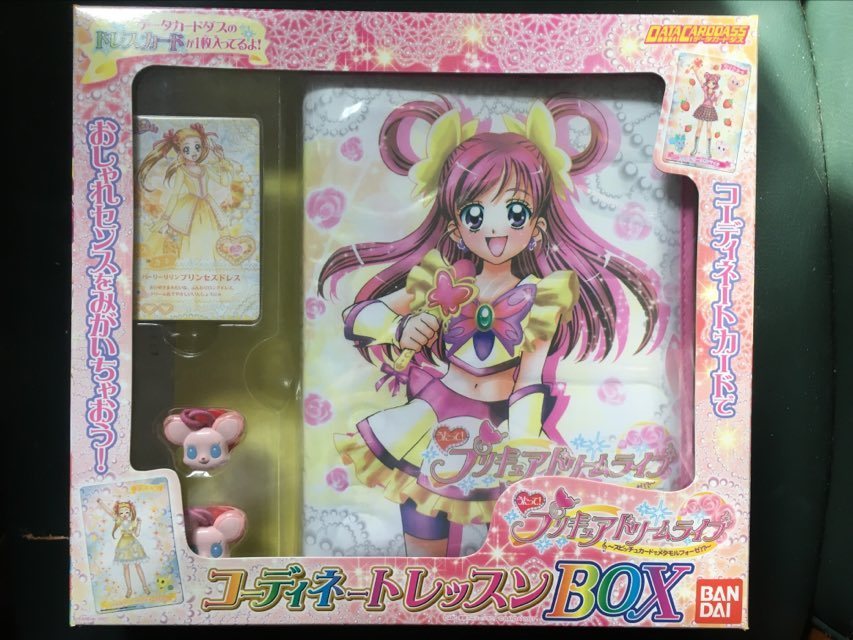 うたって! プリキュア ドリームライブ コーディネートレッスンBOX カード ホルダー Yes!プリキュア5 Precure Pretty Cure Card holder