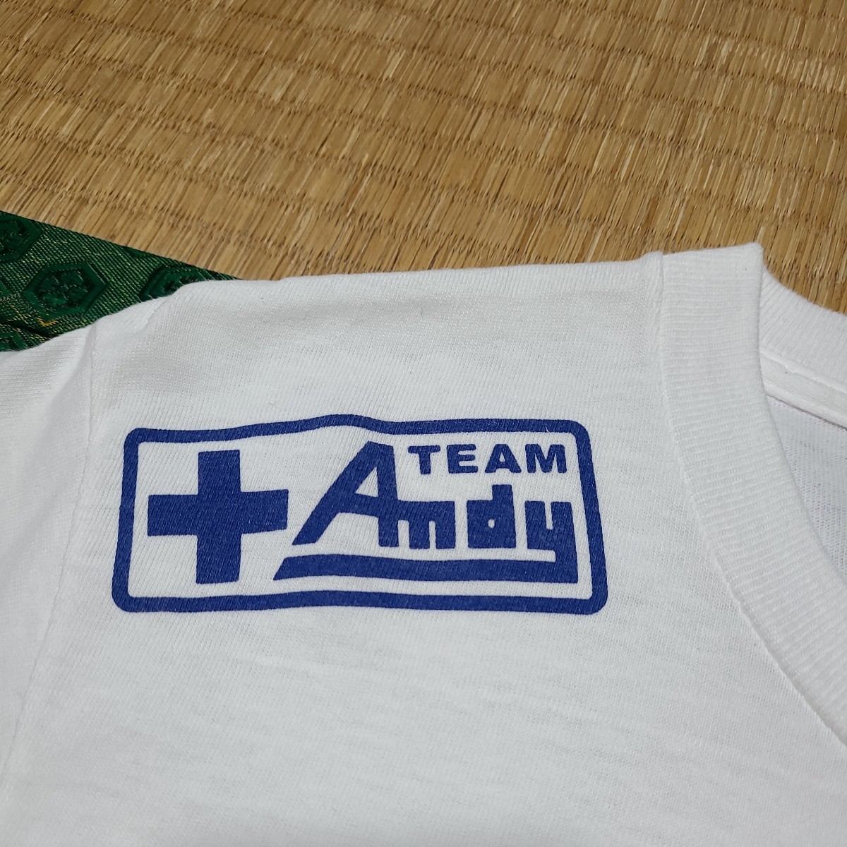 アンディフグ Team Andy Tシャツ K-1 格闘技 極真空手_画像5