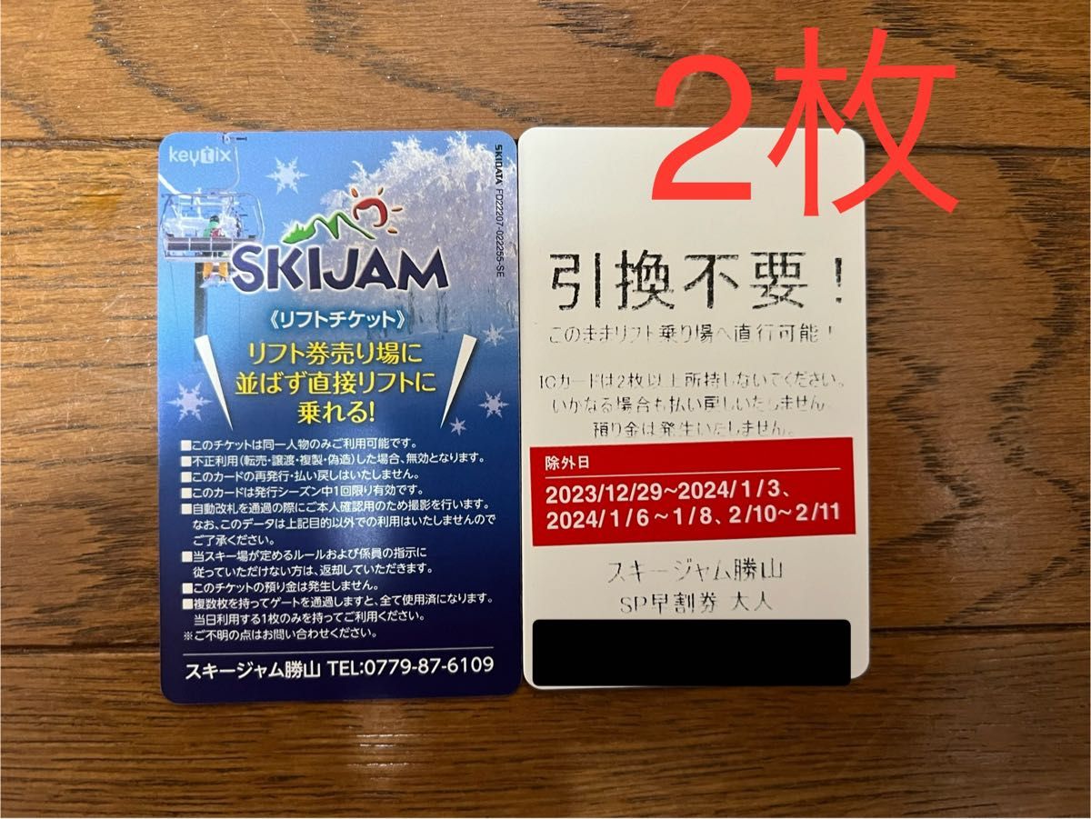 富士見パノラマリゾート 回数券8枚 - スキー場