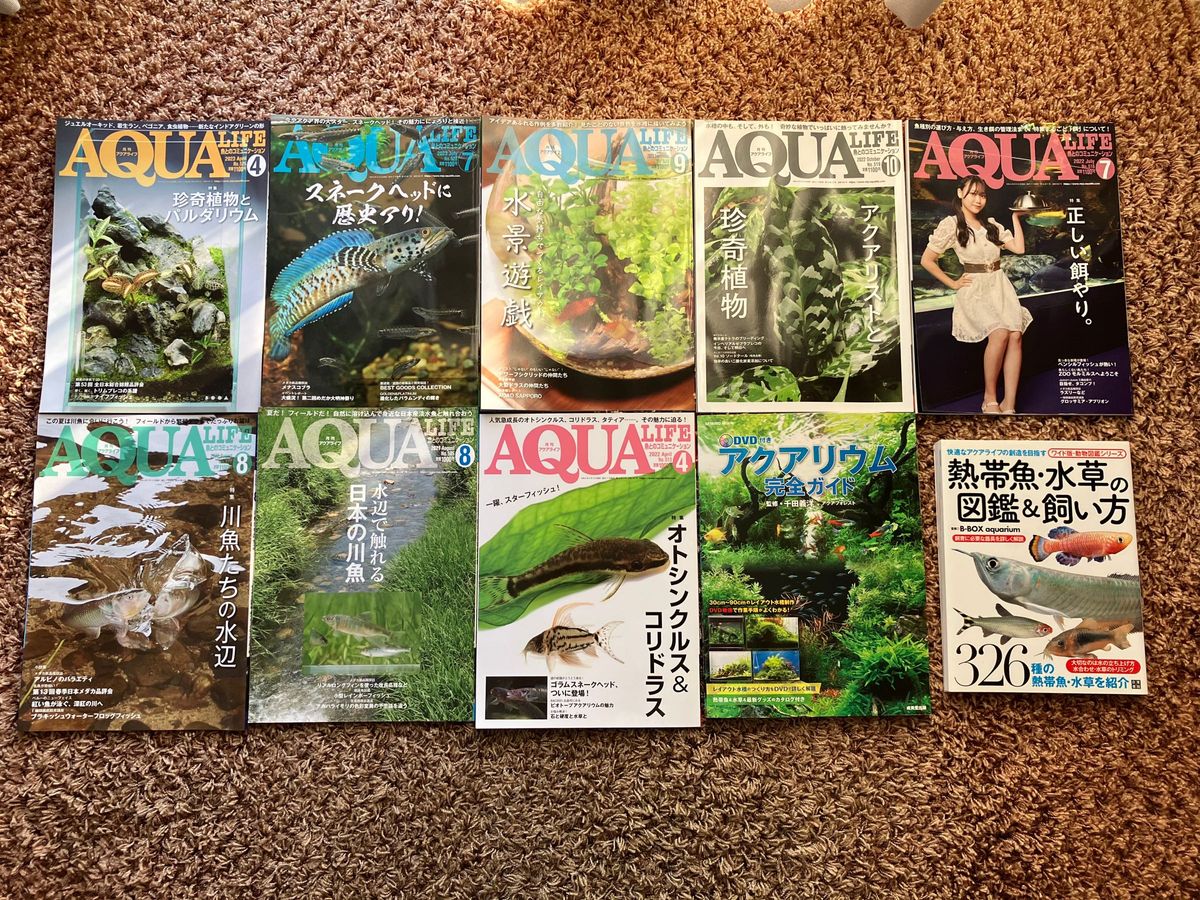 月刊アクアライフ（AQUA LIFE）アクアリウム・熱帯魚・川魚・水草関係　10冊1セット