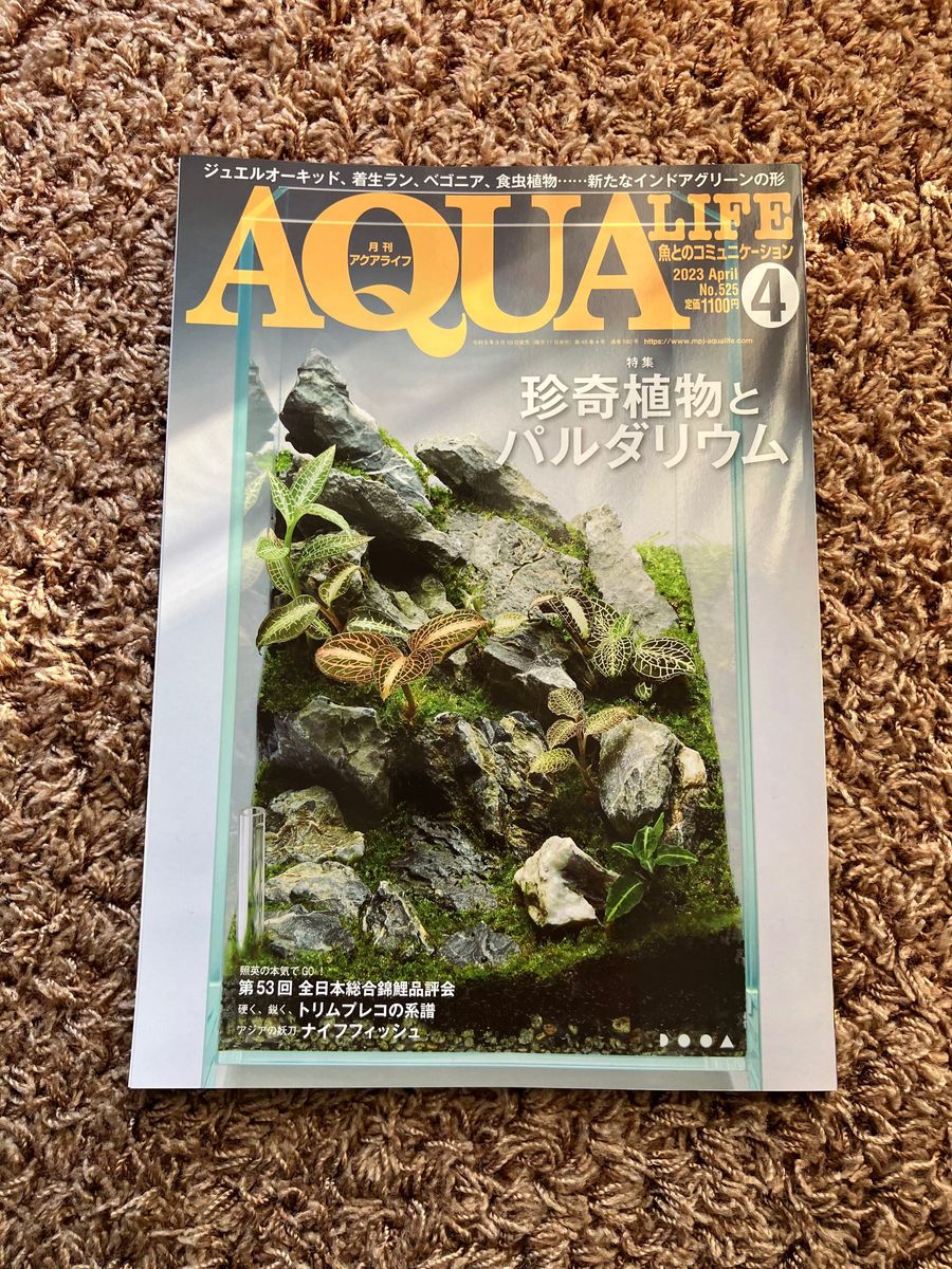 月刊アクアライフ（AQUA LIFE）アクアリウム・熱帯魚・川魚・水草関係　10冊1セット