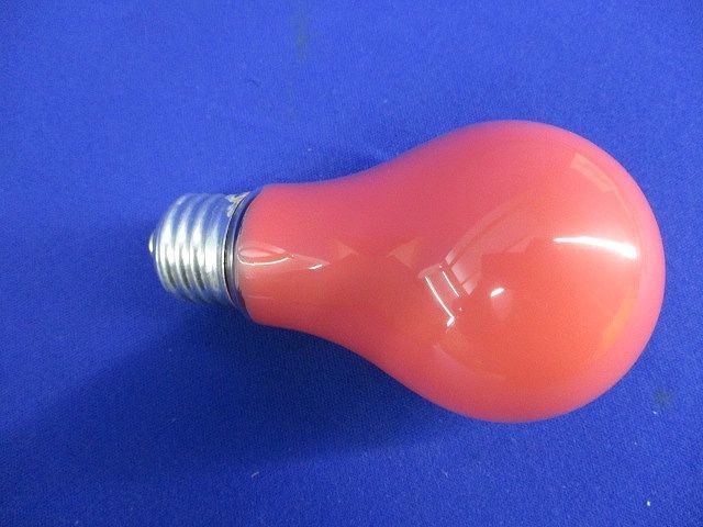 カラー電球E26(17個入)(赤) 220V-60W_画像6