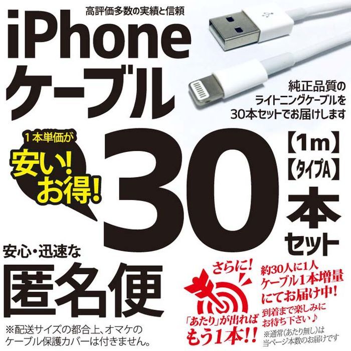 iPhone ライトニングケーブル USBケーブル 携帯 充電器ケーブル Apple アップル 純正品質同等 TypeA タイプA
