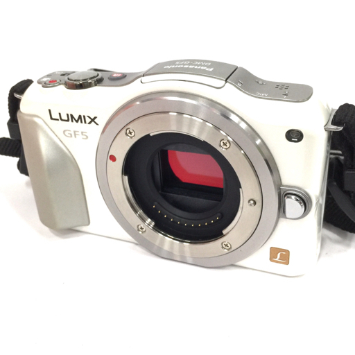 Panasonic LUMIX DMC-GF5 ミラーレス一眼 カメラ ボディ 本体 デジタルカメラ ホワイト_画像1