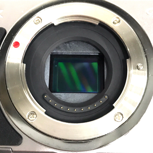 Panasonic LUMIX DMC-GX1 ミラーレス一眼 デジタルカメラ ボディ 本体_画像5