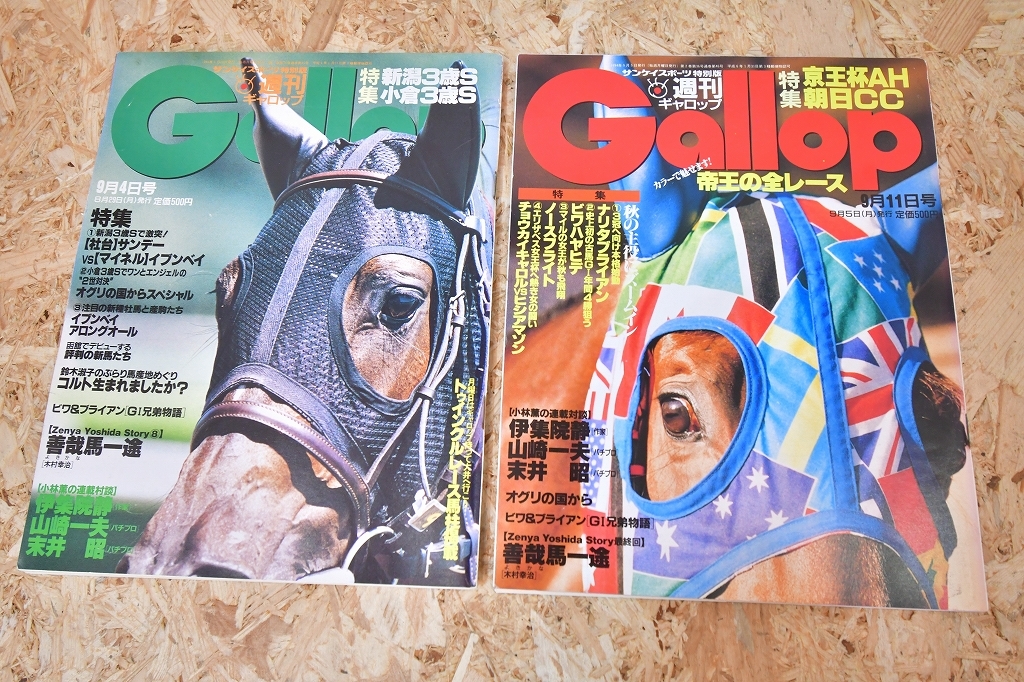 ⑤　1994年　週刊Gallop ギャロップ　馬　本　雑誌　武豊　凱旋門賞　京都新聞杯　ナリタブライアン　ノーザンファーム　など　10冊_画像5