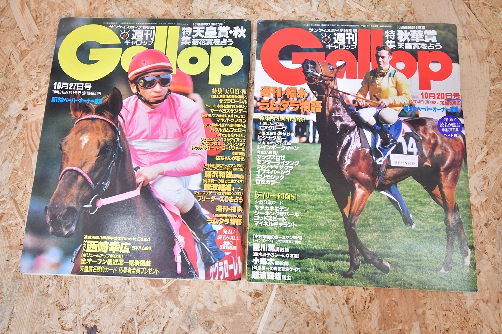 ⑥　1996年　週刊Gallop ギャロップ　馬　本　雑誌　武宏平　ジャパンカップ　エリザベス女王杯　安田記念　有馬記念　など　10冊_画像6