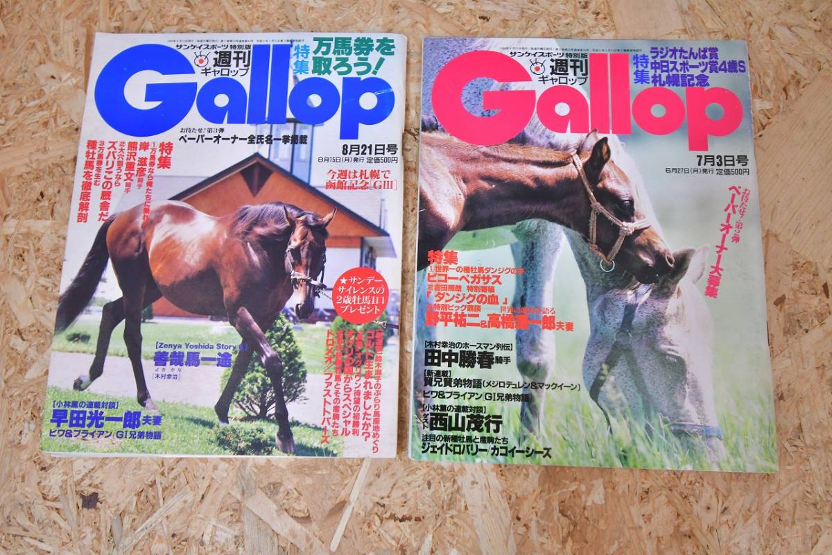 ＠10 週刊Gallop ギャロップ 1994年 馬 本 雑誌 特集 まるごとオグリ オグリキャップ ヒシアマゾン ビコーペガサス など 10冊の画像3