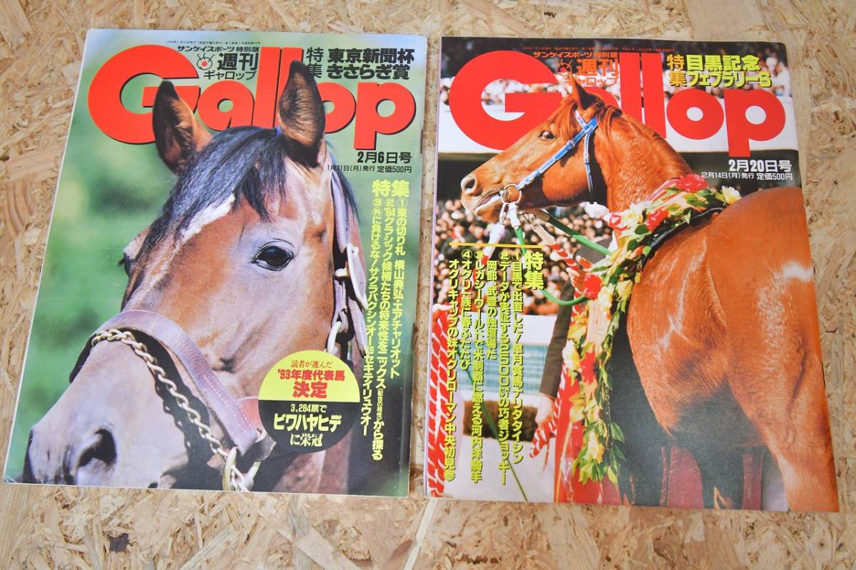 ＠15　週刊Gallop ギャロップ　93年　94年　95年　馬　本　雑誌　トウカイテイオー　小林薫　対談　オグリローマン　天皇賞　など　10冊_画像5