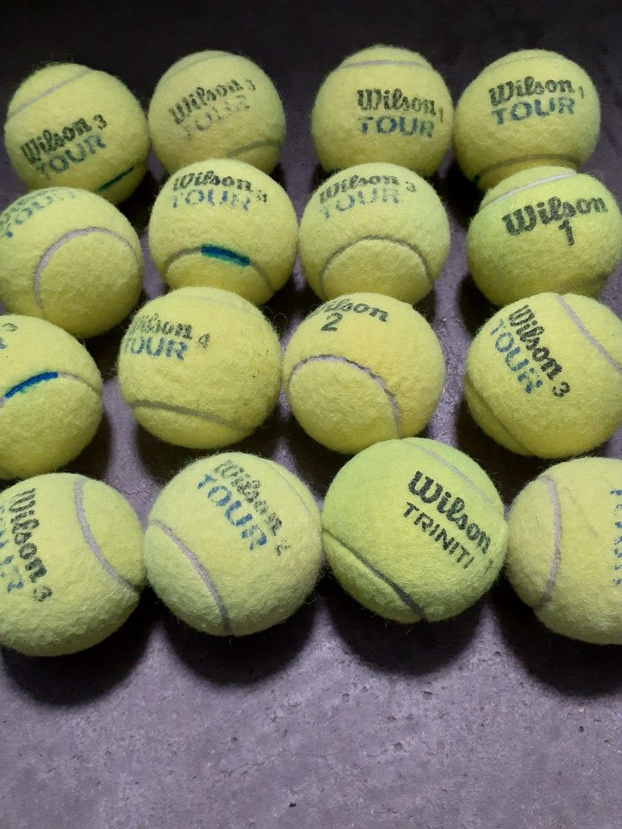 ウィルソン テニスボール 16球
