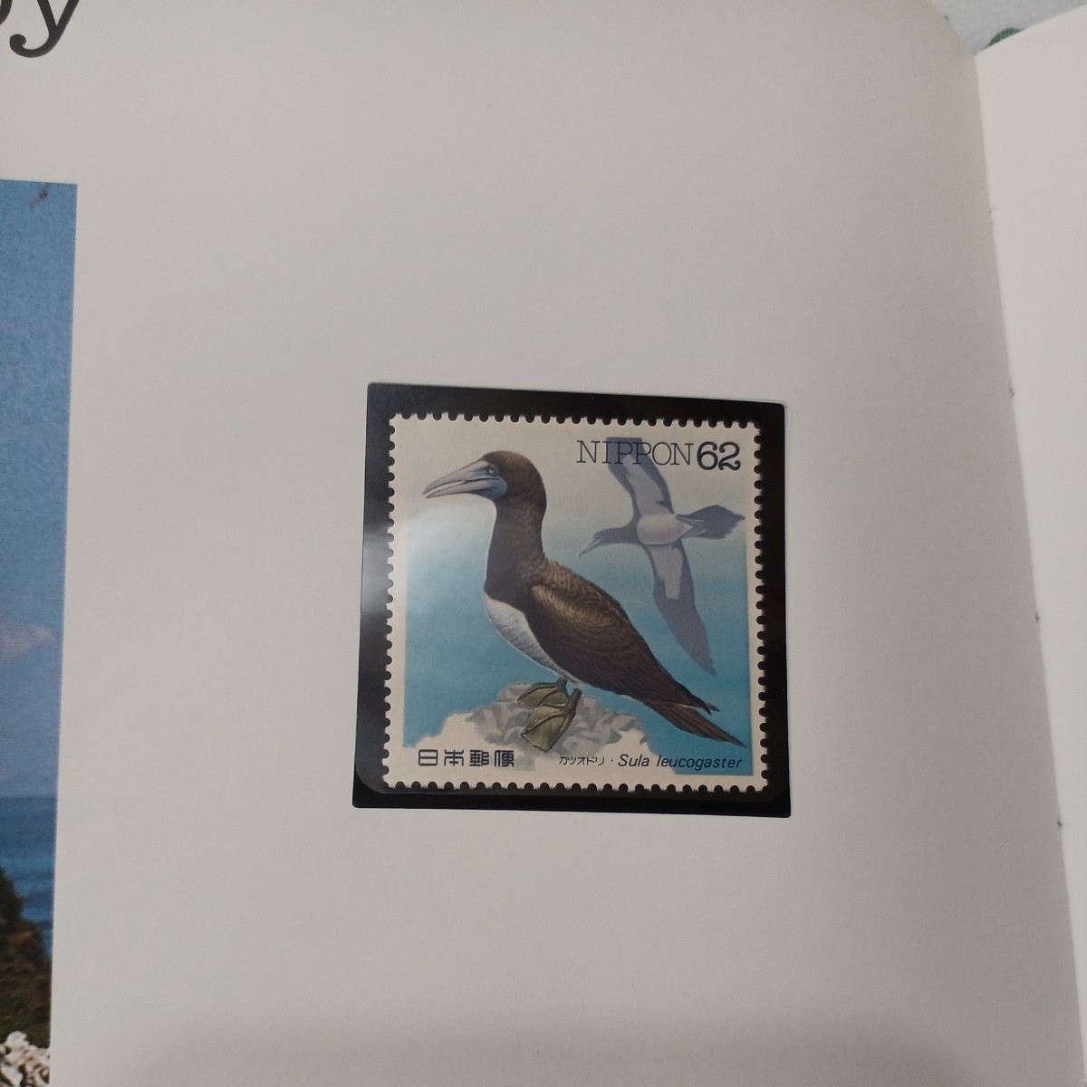 zaa-534♪『水辺の鳥 切手アルバム』平成5年 1993年発行 切手16枚セット 切手帳 コレクション 切手完品 _画像5
