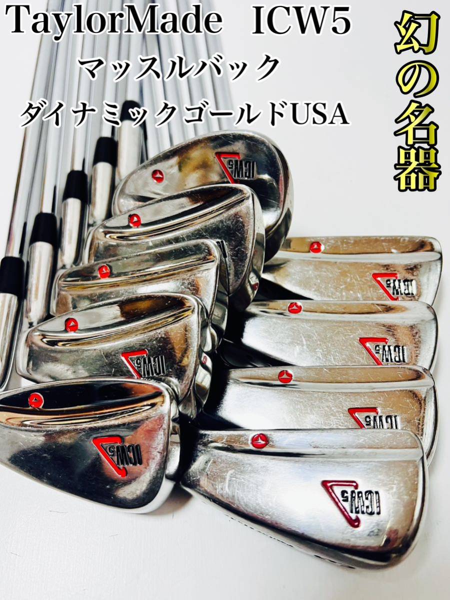 幻の名器 TaylorMade テーラーメイド IWC5 マッスルバック 幻の名器 TaylorMade テーラーメイド IWC5 マッスルバック