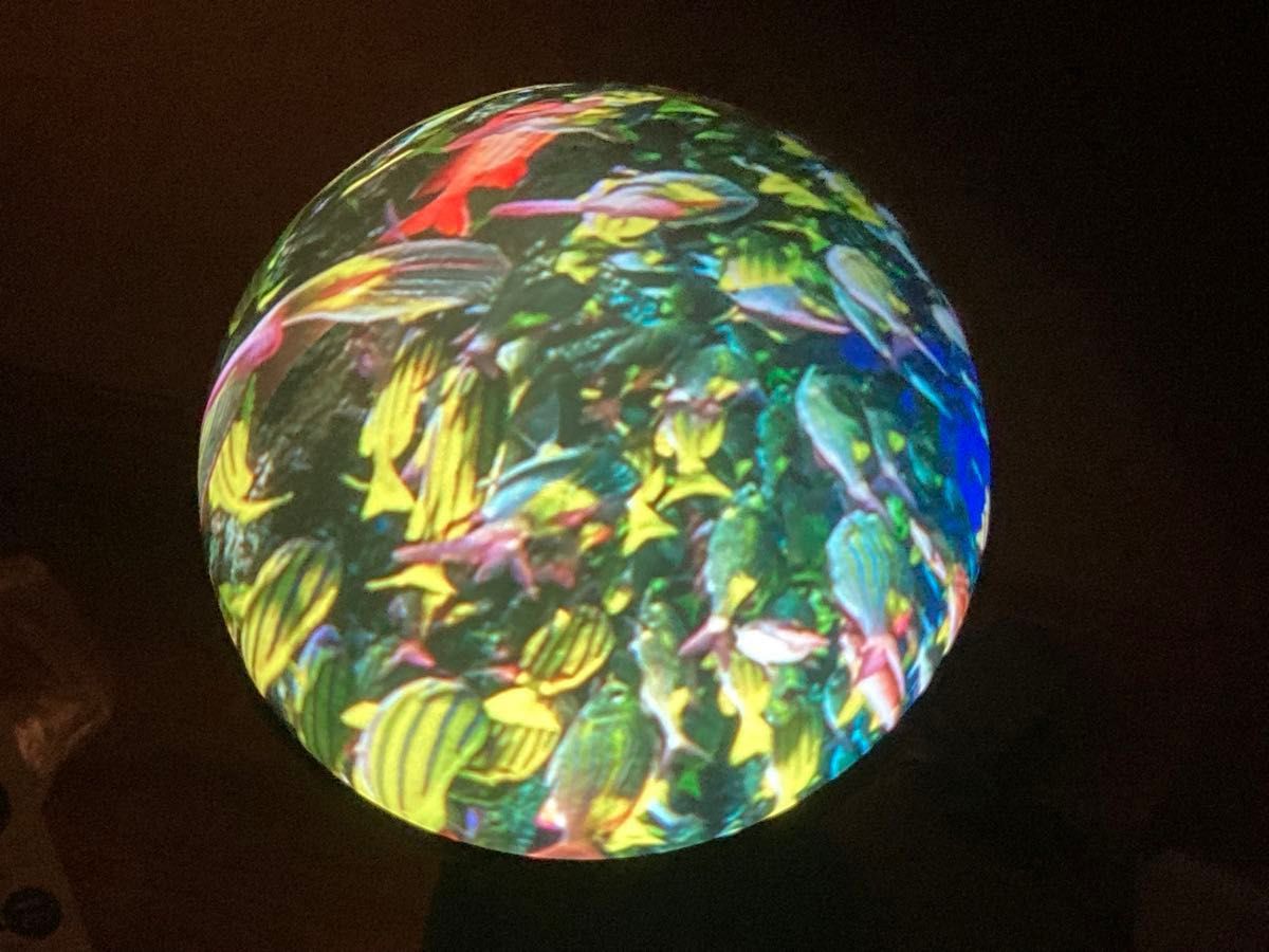 Gakken NEW WORLDEYE ニュー ワールドアイ 地球儀型投影用機器 Gakken NEW WORLDEYE ニュー ワールドアイ 地球儀型投影用機器