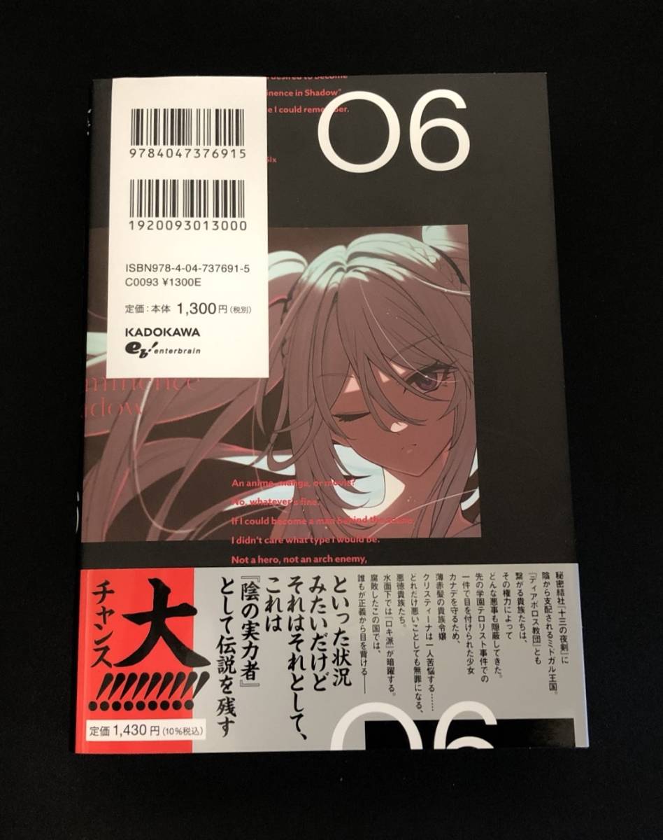 小説 陰の実力者になりたくて！ 06 / 6巻 / 逢沢大介 / 東西 / 異世界 転生 シャドウガーデン シャドウ アルファ ベータ ガンマ デルタ_画像2