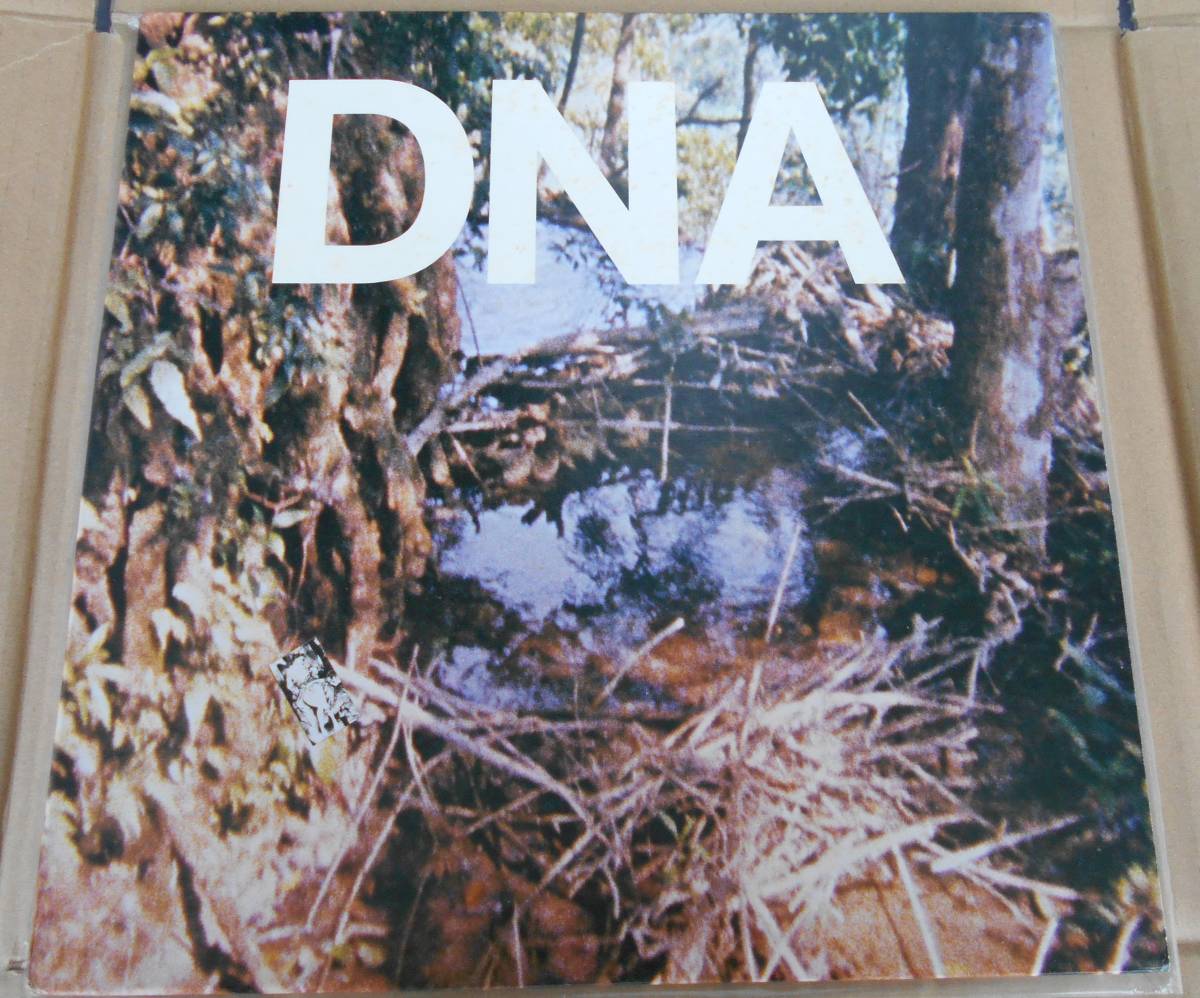 ●US盤12inch.EP 超RARE盤！「A TASTE OF DNA」DNA（AMERICAN CLAVE 1003EP）＊NEW YORK PUNK最重要作！Art Lindsay Ikue Mori Tim Wright_画像1